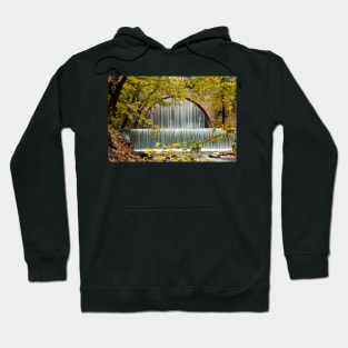 Passage to Middle Earth Hoodie